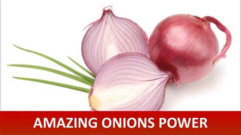 Health Benefits Of Eating Onions Daily YouTube