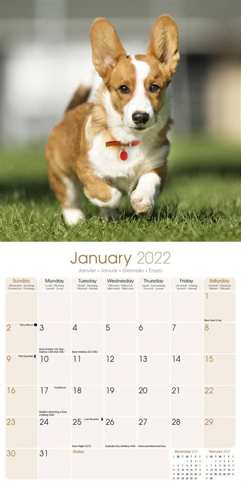 Corgi Calendar Dog Breed Calendars Pet Prints Inc