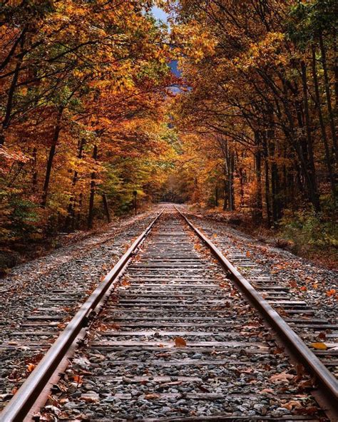 Pin By Everythingpins On Fall Train Tracks Photography Railroad