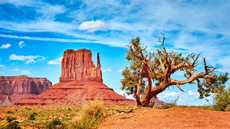Western Landscape In The Monument Valley Usa Stock Photo Image Of