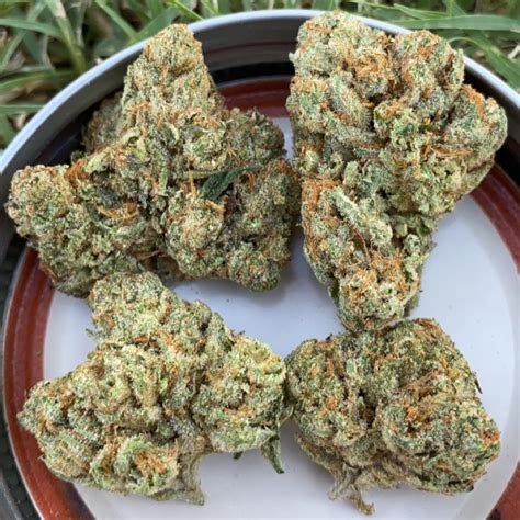 While zucchini is probably the most popular, others include zander, zapiekanka, zongzi, zuccotto, ziti and zitoni. Strain Review: Sour Banana Sherbert by Farm Fresh Organics ...