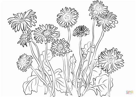Psycho energetische therapie te vinden in zelhem. Dandelion Coloring Page at GetColorings.com | Free ...
