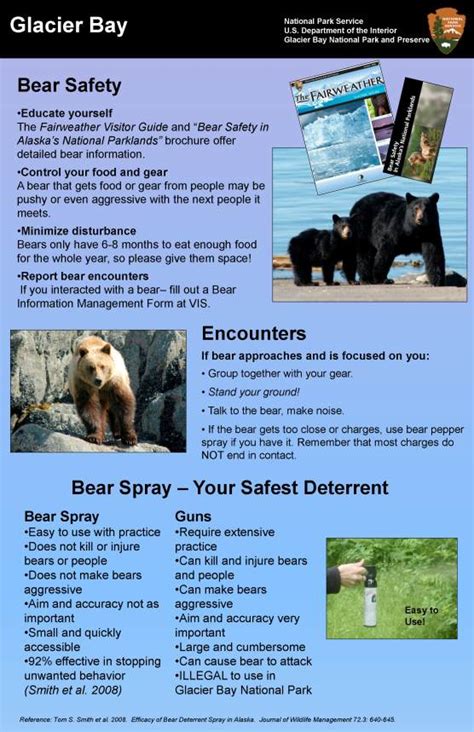 Bear Safety In Glacier Bay Glacier Bay National Park And Preserve Us