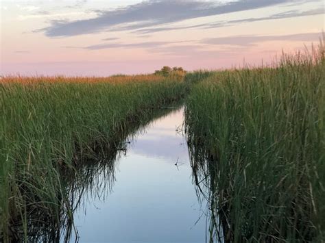 Airboat Express Tours Spanish Fort 2021 All You Need To Know Before You Go With Photos