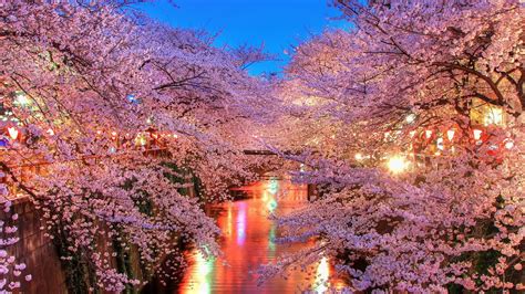 If you're in search of the best pink backgrounds for desktop, you've come to the right place. Japanese Desktop Backgrounds (70+ pictures)