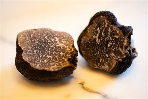 Périgord Black Truffle Is Harvested In America For The First Time