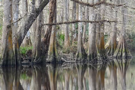 Camp Salmen Nature Park New Orleans Holiday Accommodation Holiday