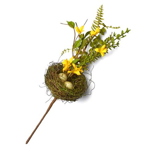 Male anubis, 16, has lived at zoo atlanta since 2008. Artificial Bird's Nest Pick with Forsythia - Artificial ...