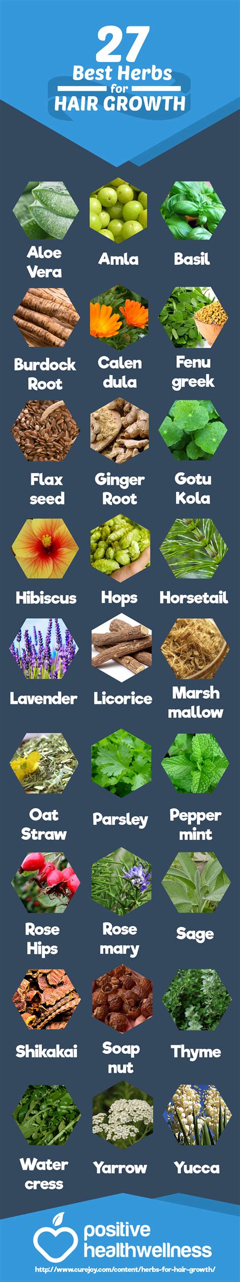 27 Best Herbs For Hair Growth Positive Health Wellness Infographic