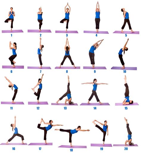 Yoga Poses For Beginners Musely