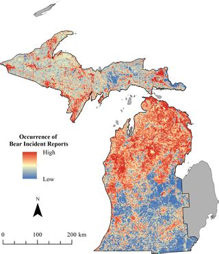After the prey is ensnared in the web, the. Spatial Distribution of Black Bear Incident Reports in ...