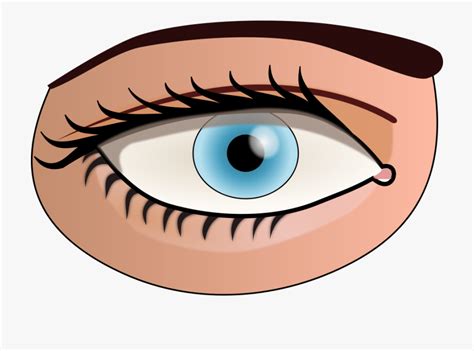 Body Part Clipart Eye Pictures On Cliparts Pub 2020 🔝