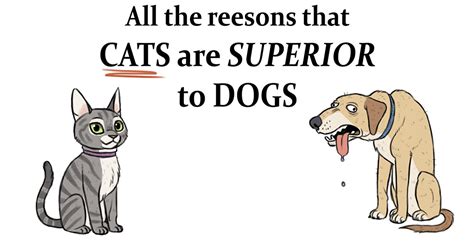Dogs Are Better Than Cats Facts Cat Meme Stock Pictures And Photos
