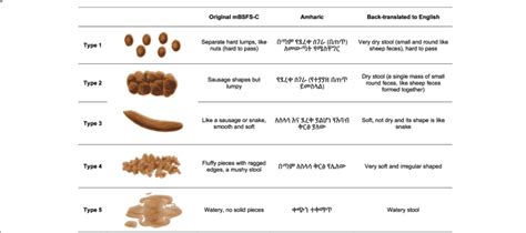 The Modified Bristol Stool Form Scale For Children Mbsfs C