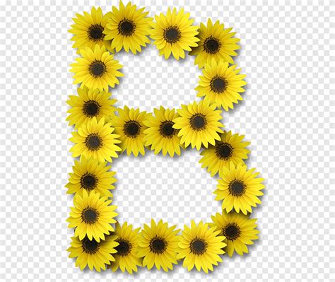 Letter Alphabet J Girassol Sunflower Sunflower Seed Png Pngegg