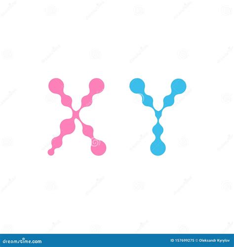 X And Y Chromosomes With Dna On A White Background Cartoon Vector