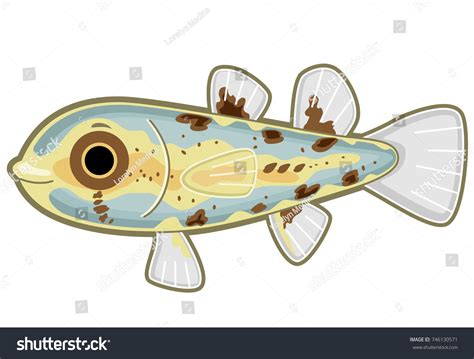 Illustration Pandaka Pygmea Fish Philippines 库存矢量图（免版税）746130571