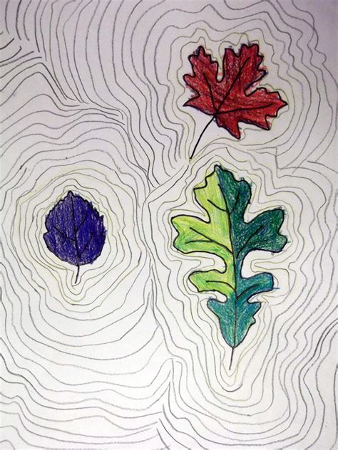 Contour Leaf Drawings Welcome To Ms Longs Class