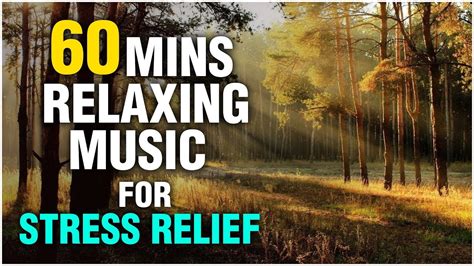 Minutes Relaxing Music For Stress Relief And Anxiety Music For Meditation Studying And