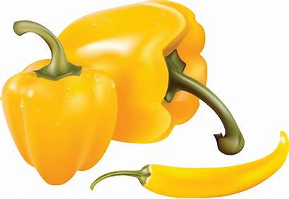 Pepper Yellow Chili Clipart Transparent Jalapeno Vegetables