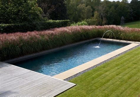 Natural Swimming Pool Landscaped Gardens Guncast Swimming Pools In Ground Stone Outdoor