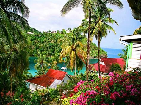 Lovely Tropical View Colorful Shore Cottages Bonito Sea Palm