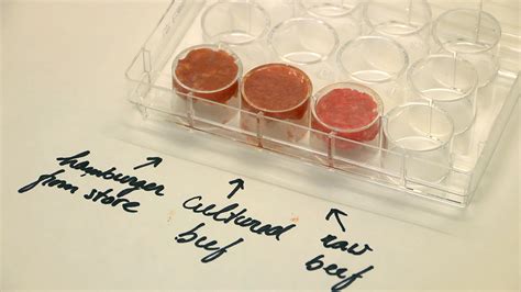 Lab-grown meat is in your future, and it may be healthier than the real