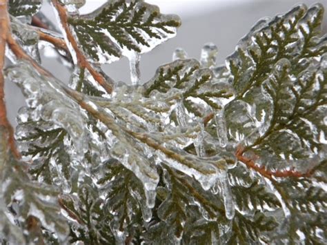 How Does Freezing Rain Form Dtn