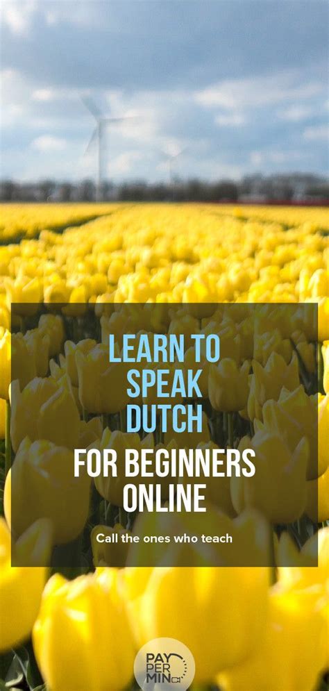 learn how to speak dutch for beginners online call theone beginners language curriculum