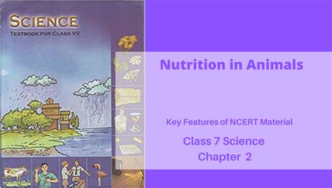 Nutrition In Animals Class 7 Science Ncert Chapter 2 Reeii Education