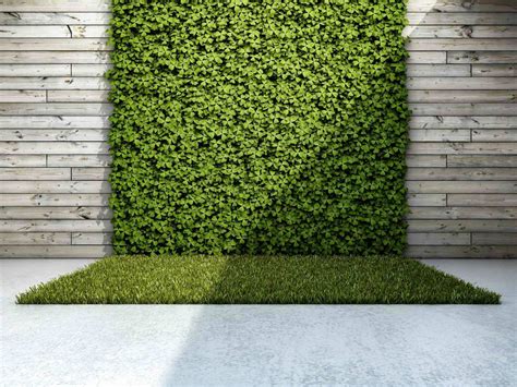 Vertical Gardens One Of The Best Landscaping Companies In Dubai