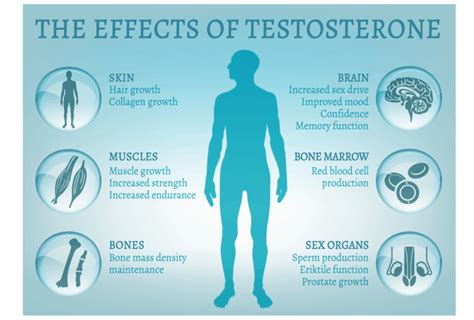 Testosterone Replacement Therapy Pensacola Physical Medicine