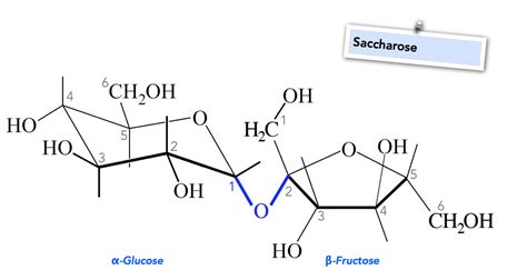 Saccharose Sucrose