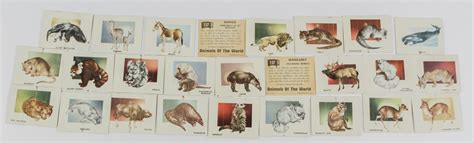 Lot Detail 1951 Topps Animals Of The World R714 1 Trading Cards