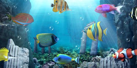 Inspired by 6s motion wallpaper, betta fish 3d is designed to refine the current 6s motion wallpaper, with outstanding and aesthetic graphics, finished with. Aquário vivo papel de parede APK Baixar - Grátis ...
