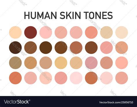 Human Skin Tone Color Palette Set Vector Graphics Creative Market Vrogue