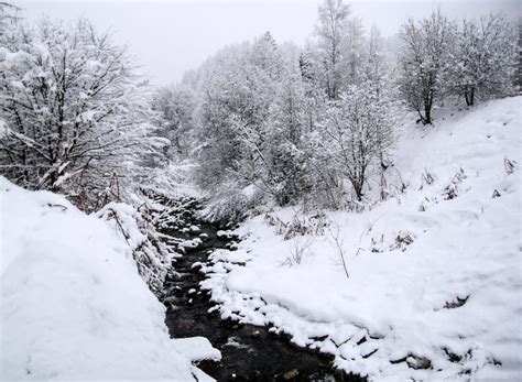 Snowy Trees With Creek In The Winter Stock Image Image Of Creek Blue