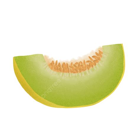 Buah Png Transparent Ilustrasi Buah Melon Ilustrasi Buah Melon Png