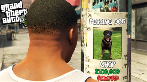 Franklins Dog Chop Went Missing In Gta 5 Youtube