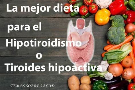 La Mejor Dieta Para La Tiroides Hipoactiva Lose Fat Lose Weight