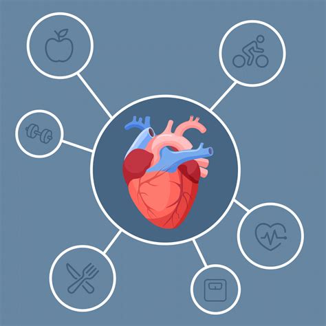 What Is Heart Disease Heart Health Problems Explained