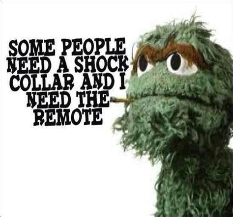 That Is The Best Friend I Know Oscar The Grouch Haha