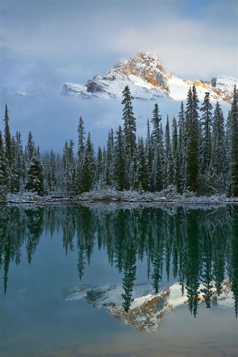 Cathedral Mountain Reflected In Lake Ohara National Parks Yoho