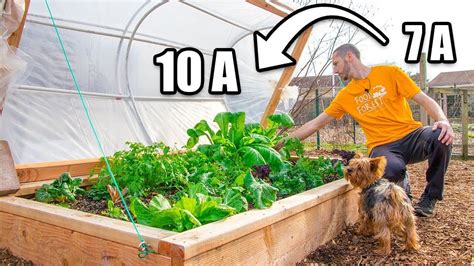 Diy 2 Layer Hinged Hoophouse Move Up 3 Zones Raised Bed Gardening