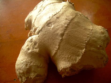 Ginger Root Free Stock Photo Public Domain Pictures