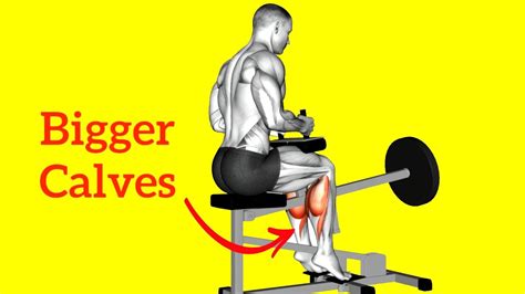 10 Best Calf Exercises To Build Bigger And Stronger Calves Quickly Youtube