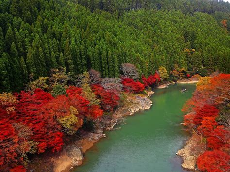 Japan River Forest Trees Autumn 2560x1600