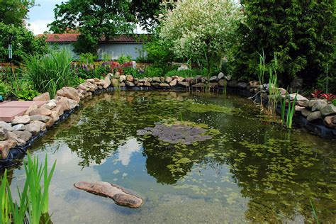 Teich immobilien goethestraße 12, 77654 offenburg. Meinen Teich mit Regenwasser füllen? - Wasser im Garten ...