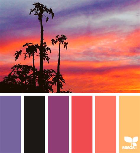 Nature Tones Sunset Color Palette Seeds Color Summer Color Palette