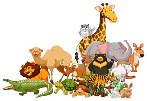 Different Types Of Wild Animals Together 366374 Vector Art At Vecteezy